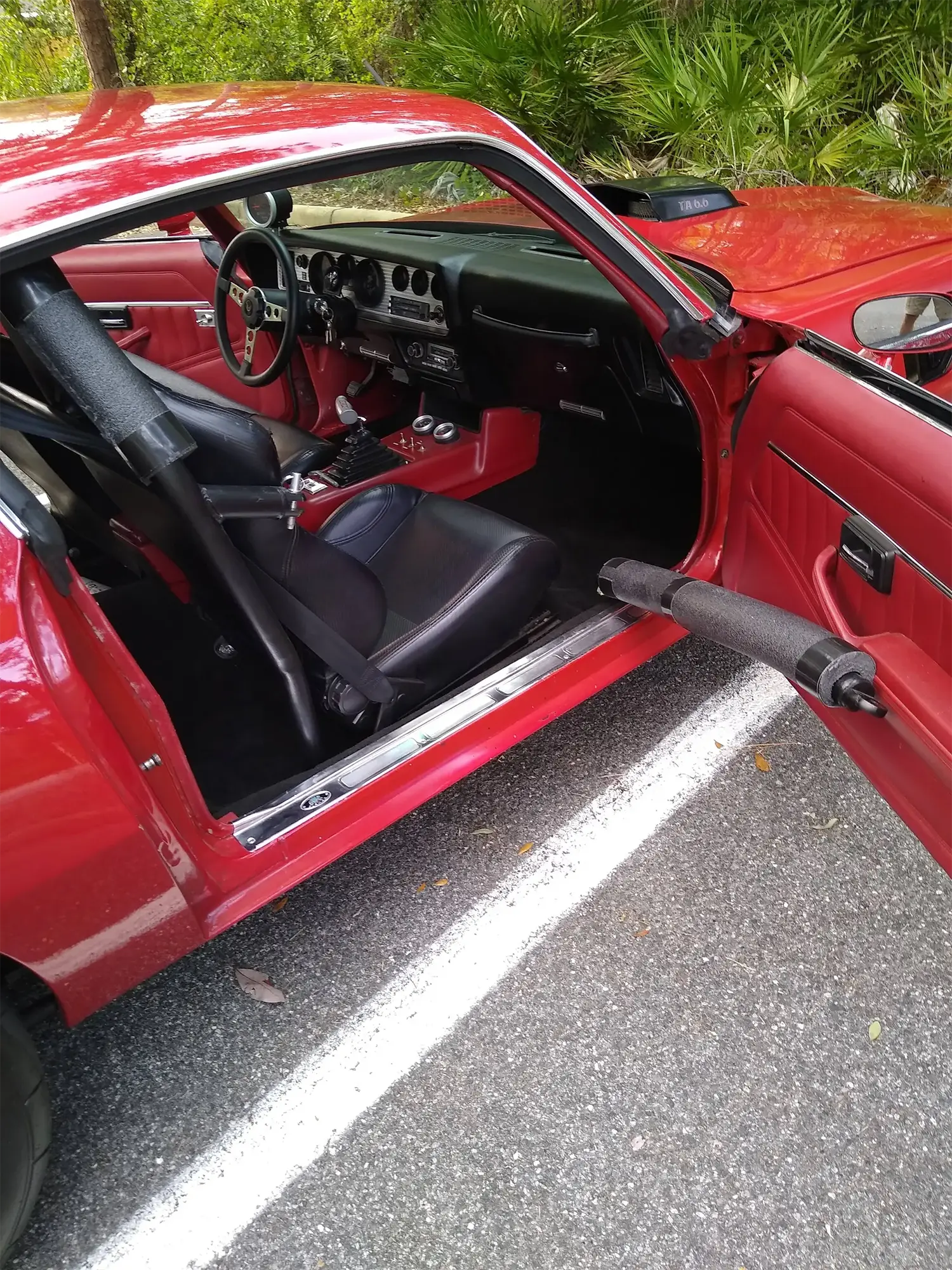 1979 Pontiac Firebird Trans Am - Photo 11