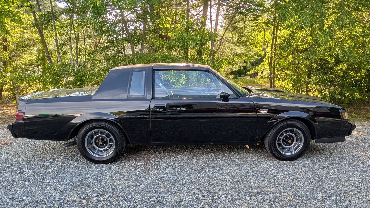 1987 Buick Grand National - Photo 6