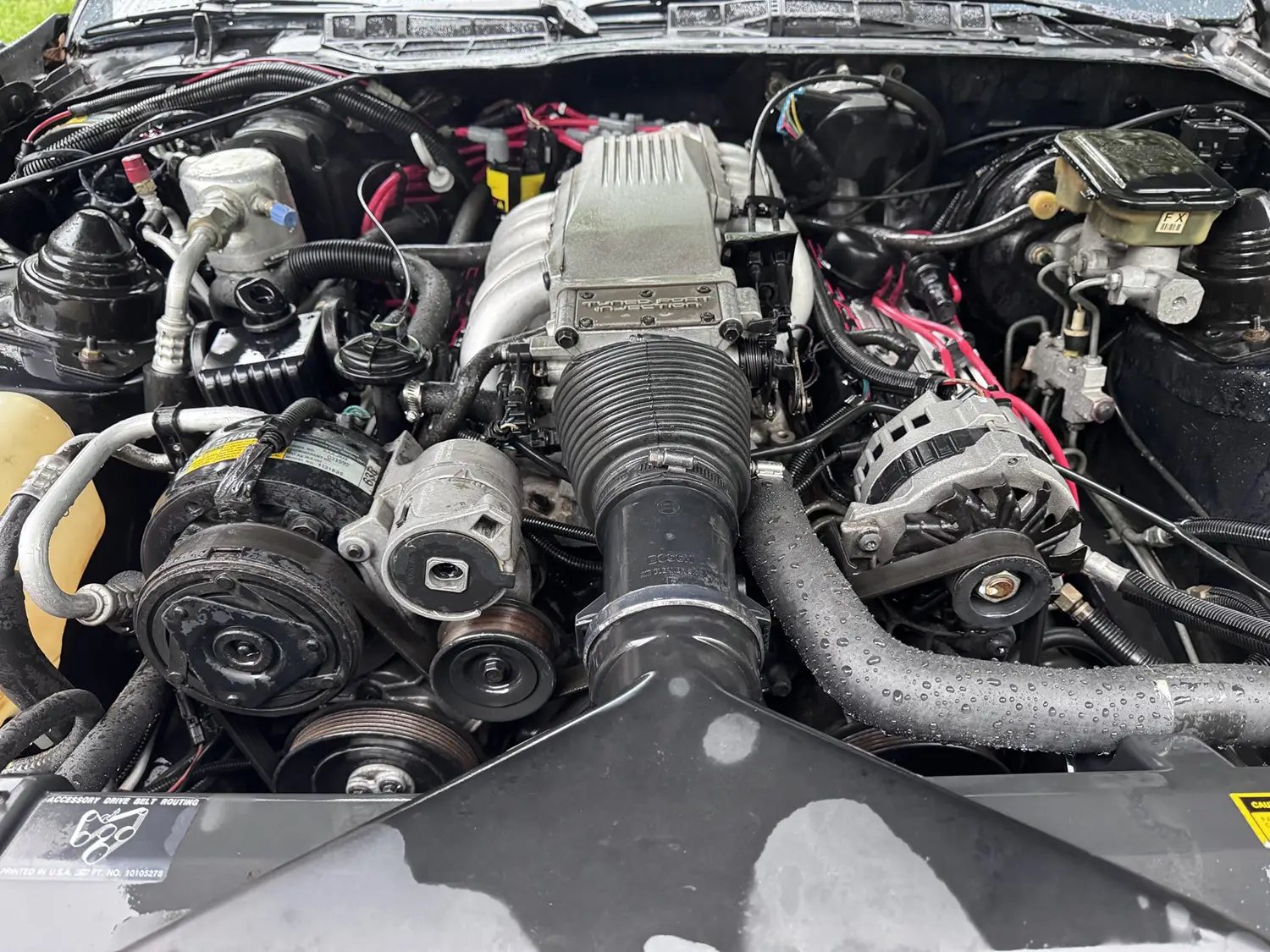 1989 Chevrolet Camaro IROC-Z - Photo 5