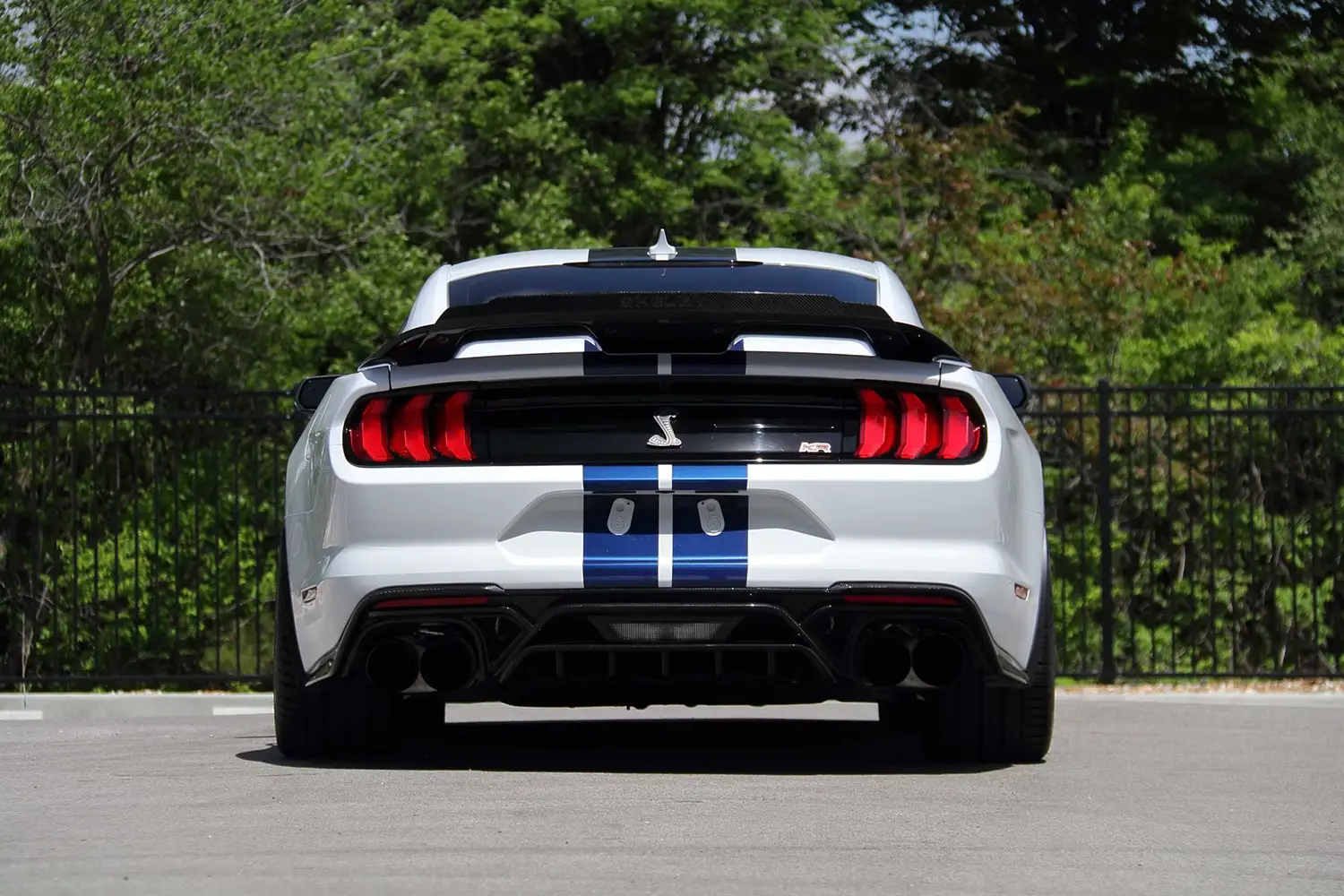 2021 Ford Shelby GT500KR - Photo 6