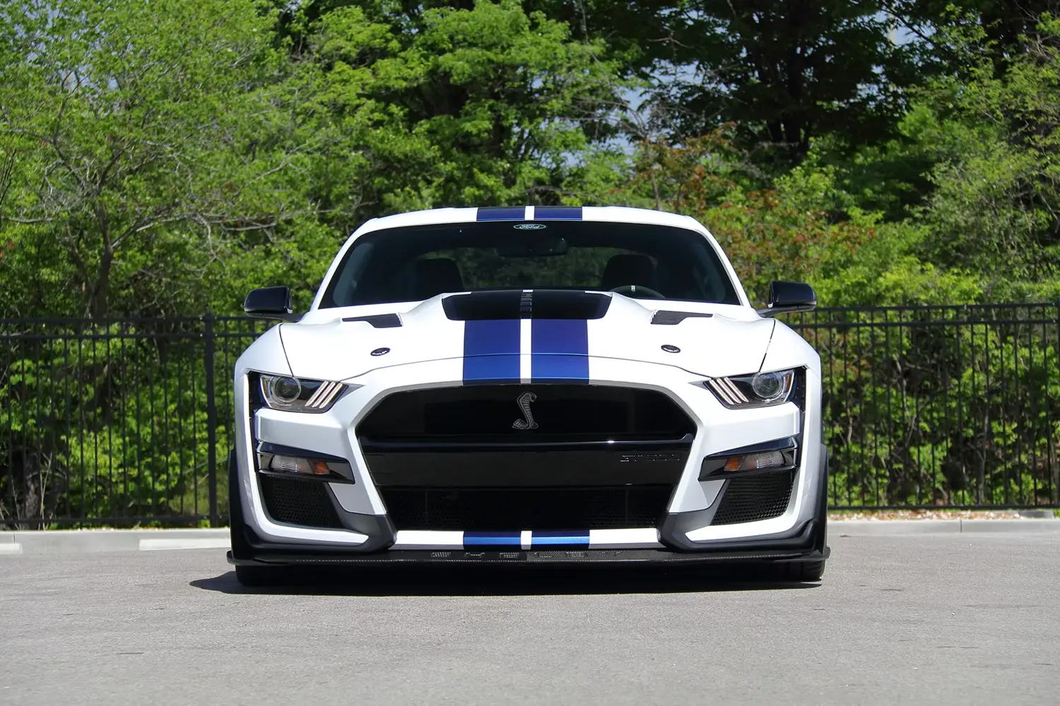 2021 Ford Shelby GT500KR - Photo 10