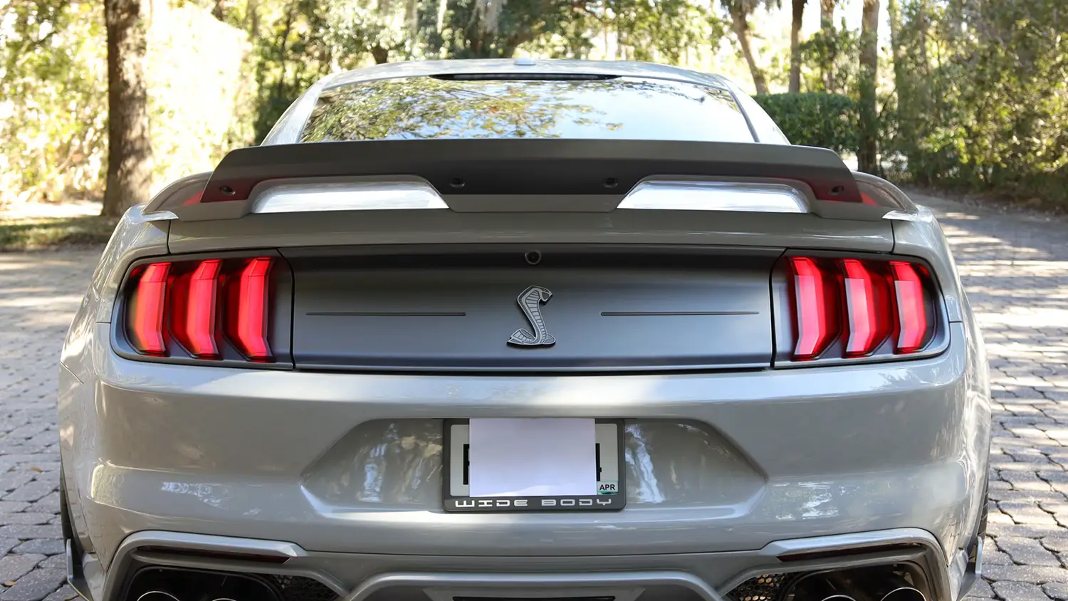 2020 Ford Shelby GT500 Widebody - Photo 3
