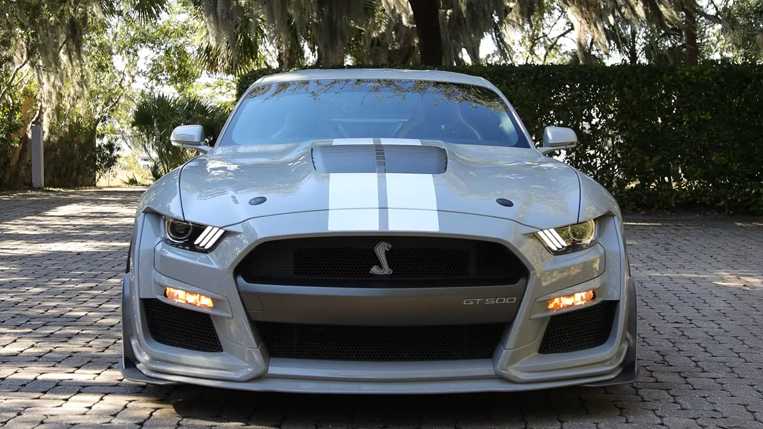 2020 Ford Shelby GT500 Widebody - Photo 8
