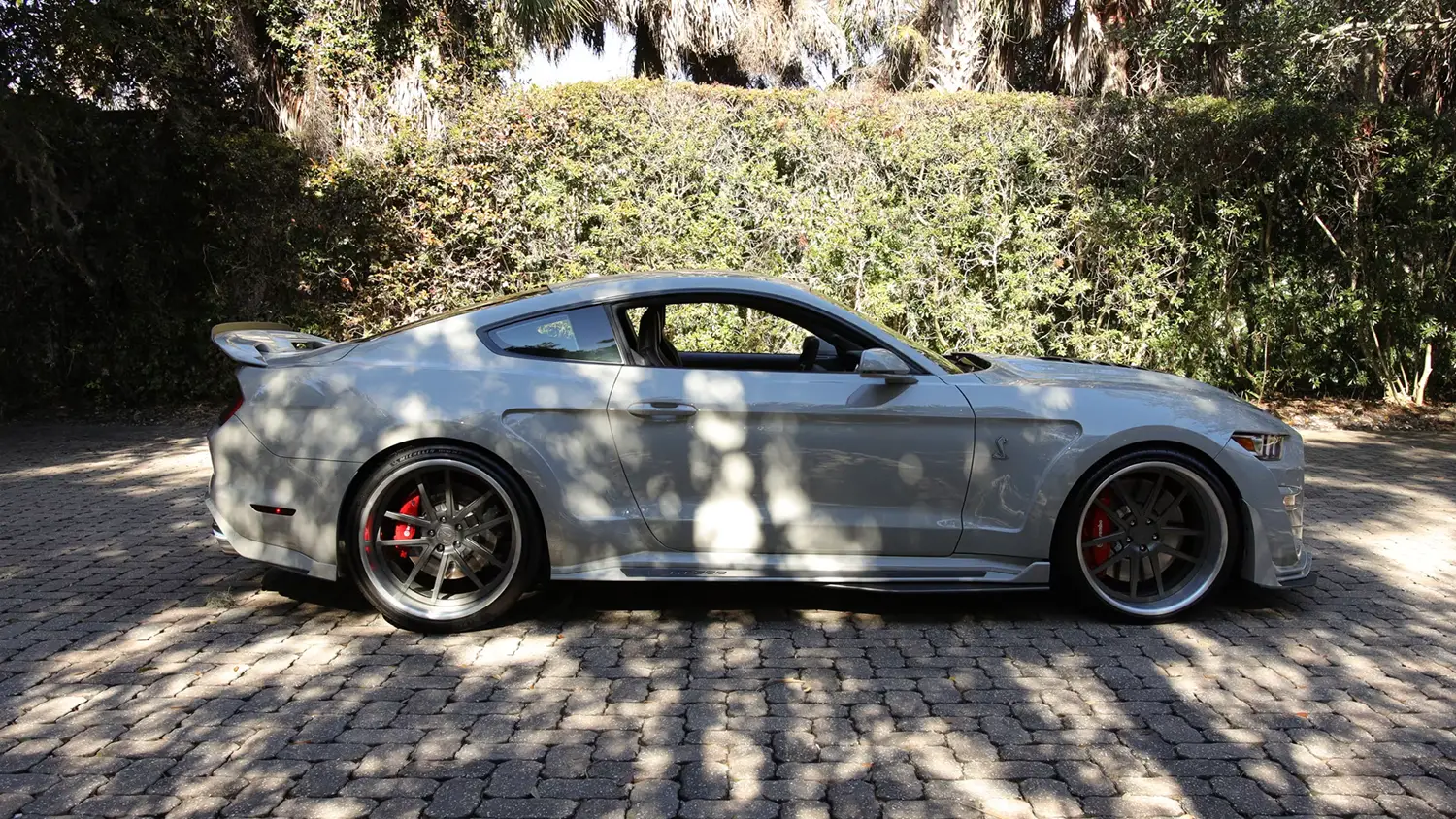 2020 Ford Shelby GT500 Widebody - Photo 9