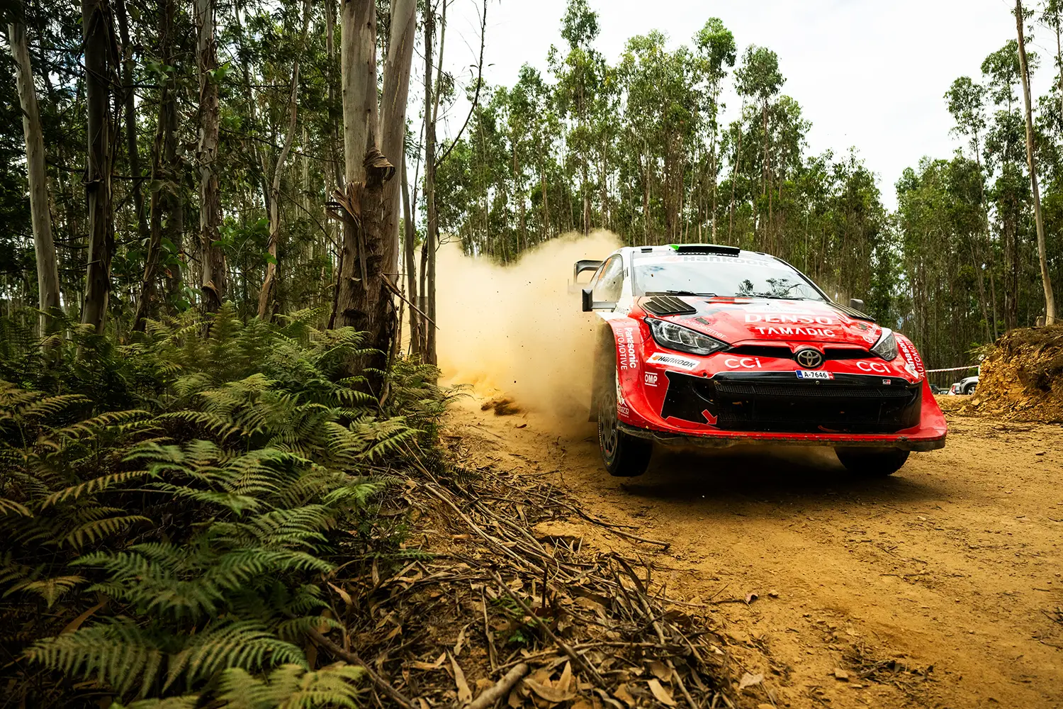 WRC 2026 - Rally de Portugal - Photo 3