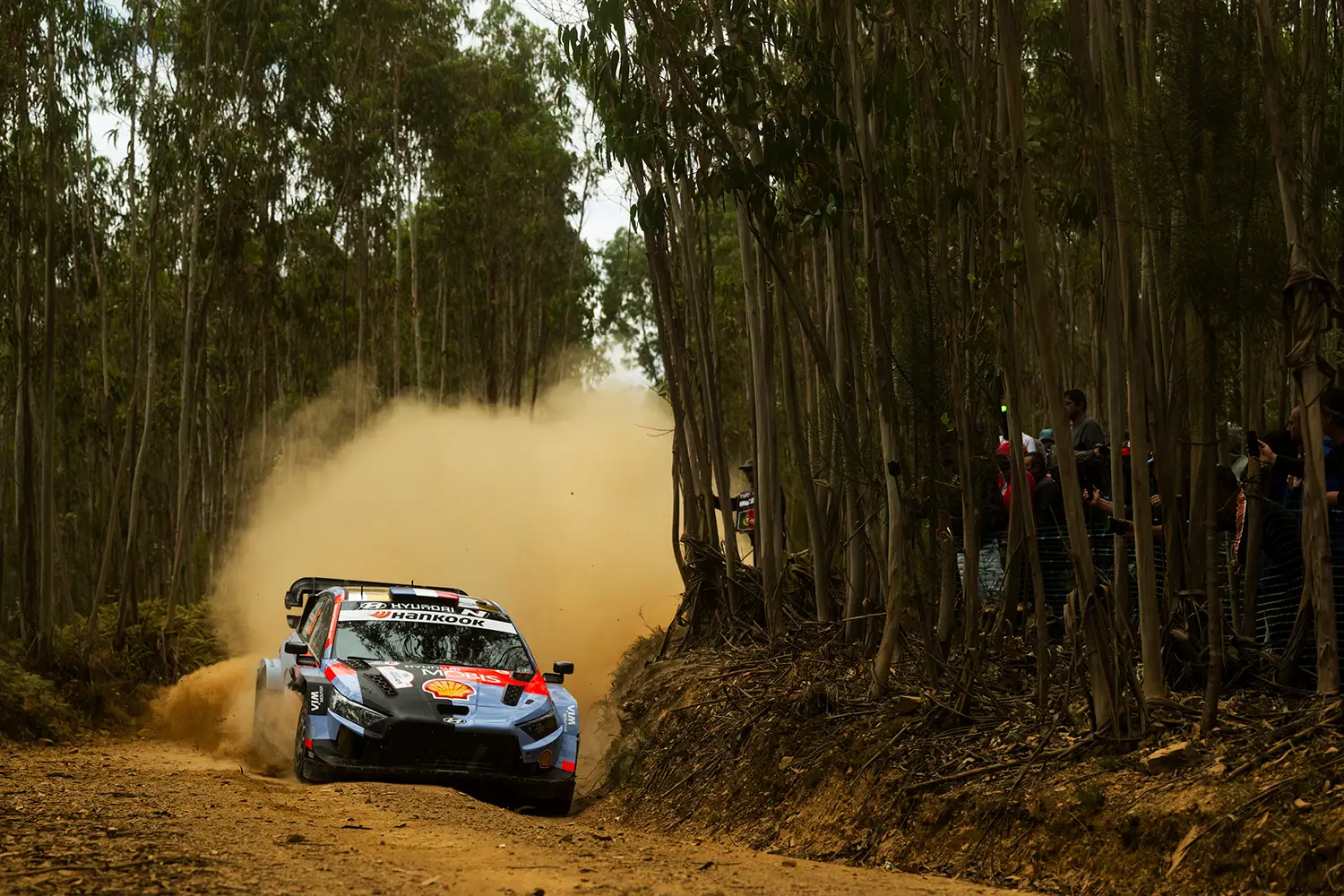 WRC 2026 - Vodafone Rally de Portugal - Photo 5